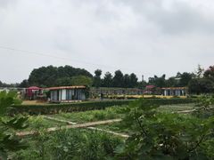 -洪湖家庭农场·团建·露营·会议