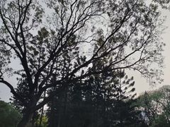 -人民公园(罗湖区)