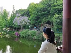 -重庆彩云湖湿地公园