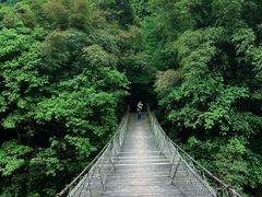 -青城山