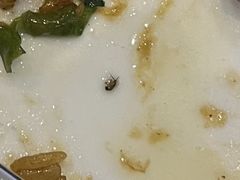 -宝月楼·台湾菜馆(天河城店)