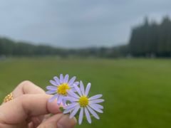 -宜兴龙背山森林公园