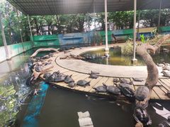 -广州长隆飞鸟乐园