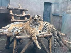 -西安秦岭野生动物园