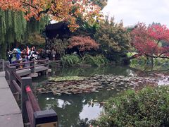 -西湖游船