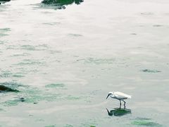 -龙舟池