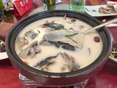 -潇湘甲鱼村(清河店)