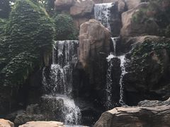 -燕塞湖鸟语林景区