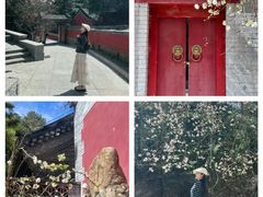 -潭柘寺景区