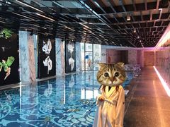 -长安街W酒店游泳池