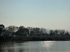 -长兴太湖图影湿地文化园