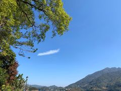-广州市流溪河国家森林公园