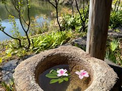 -昆明柏联SPA温泉