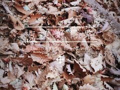 -大连天门山国家森林公园