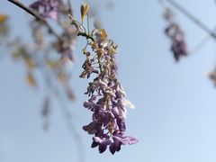 -渤公岛生态公园