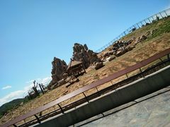 -石家庄市动物园