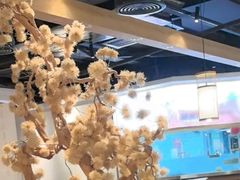 -九毛九西北菜(百信广场店)