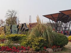 -上海长兴岛郊野公园