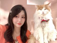 -猫儿山۰猫主题餐厅