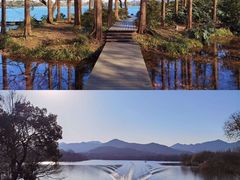 -茅家埠