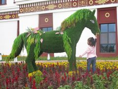 -中国马镇舞马世界主题乐园