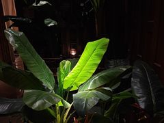 -紫莲花足道(柯桥古镇店)
