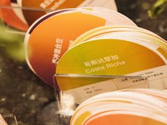 -双风车咖啡馆 Twin Windmills(六道口店)