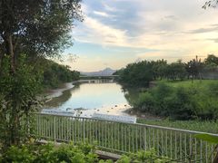 -福田红树林生态公园