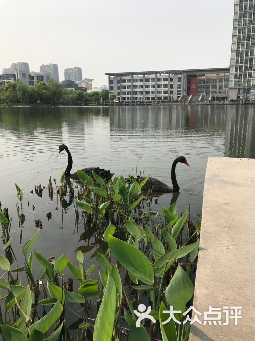 湖州師範學院(東校區)圖片 - 第12張