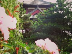 -西安青龙寺遗址景区