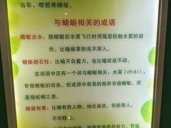 -上海昆虫博物馆