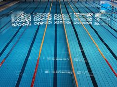 -南山文体中心-游泳馆