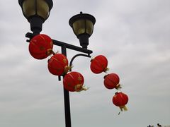 -野狸岛