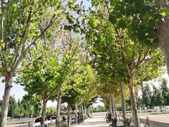 -北京群众马术培训基地