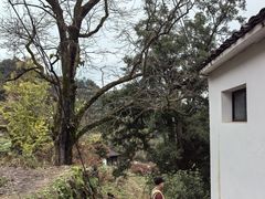 -丹山赤水风景名胜区