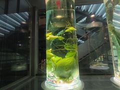 -广东中医药博物馆
