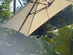 -一棵树·意大利西餐厅One Tree(新城店)