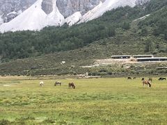 -贡嘎雪山