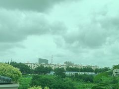 -吴淞炮台湾湿地森林公园烧烤区