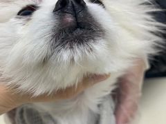 -宠颐生中康贝怡动物医院