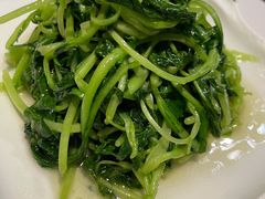 清炒鸡毛菜-19号私房菜(云南路店)