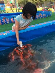 -萌宠亲子动物乐园(槐房万达店)