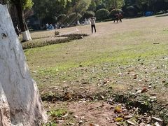-重庆彩云湖湿地公园