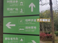 -顺峰山公园