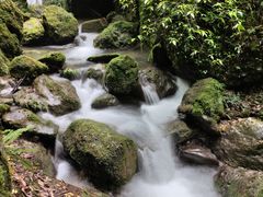 -龙翔山庄雷鸡肉(青城后山泰安古镇店)