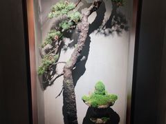 -觀芷隐轩