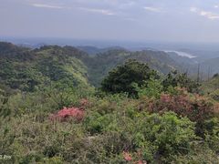 -木兰云雾山