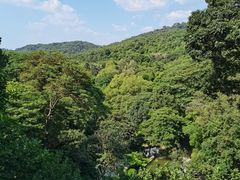 -广州市白云山风景名胜区