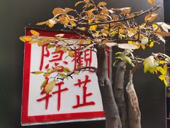 -觀芷隐轩