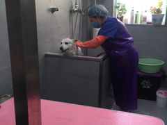 -宠福鑫康馨动物医院·骨科·眼科